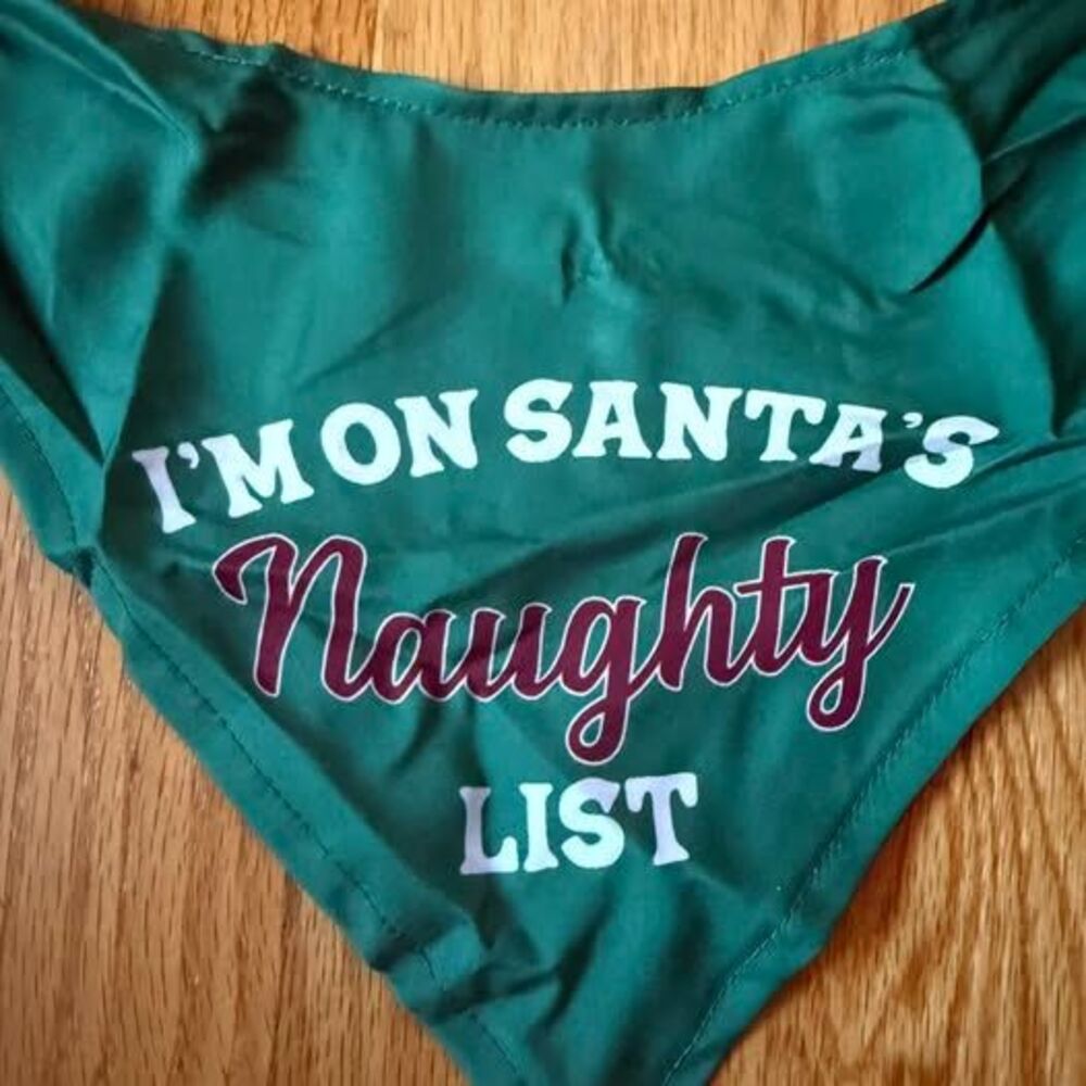 Merry Makings by Petco Santa's Naughty List Dog Bandana